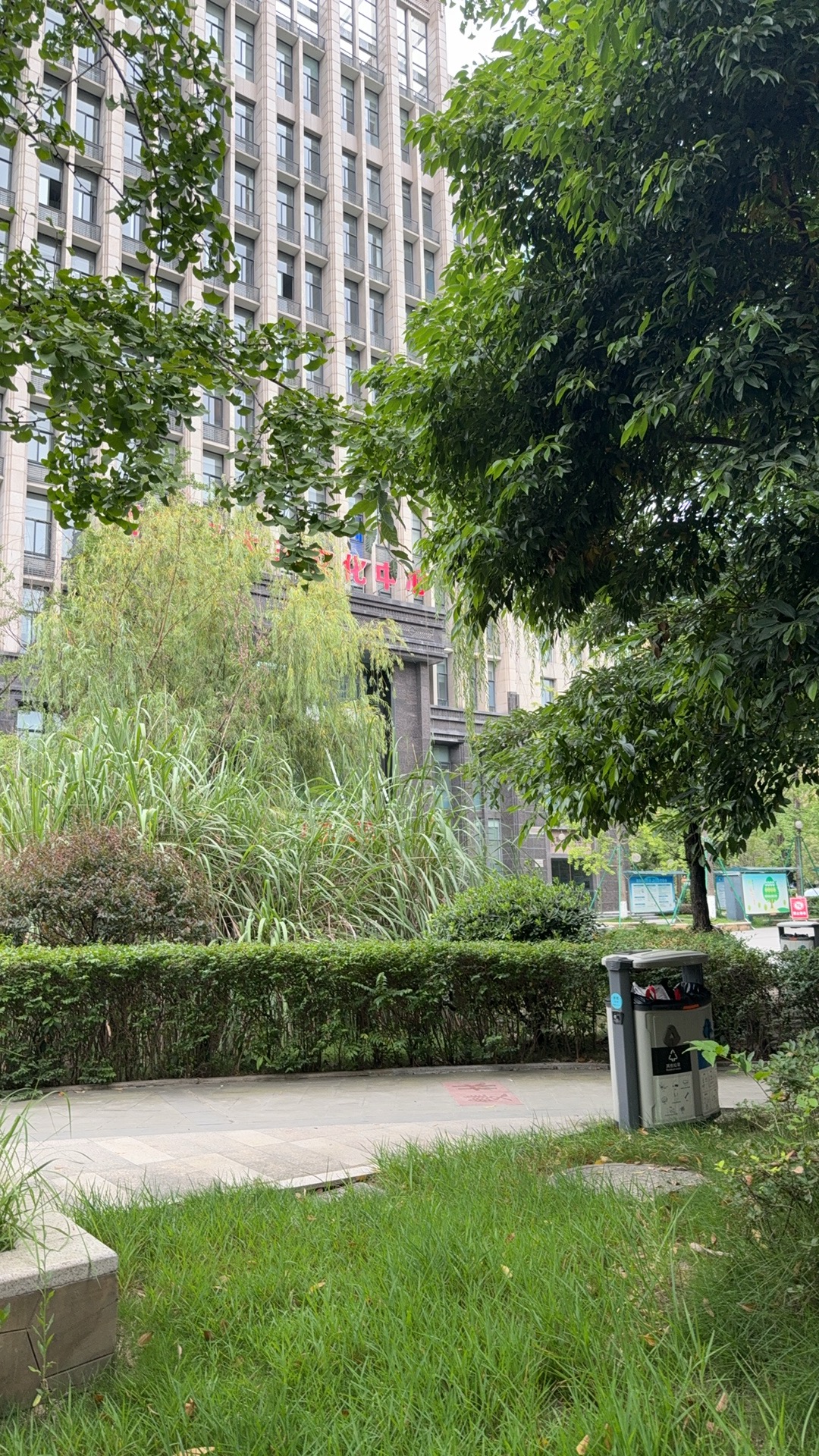 找学习搭子