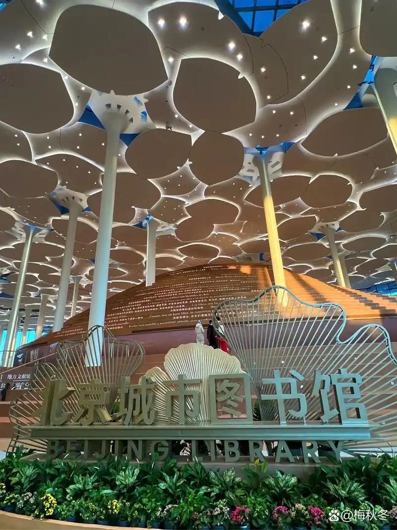 找学习搭子