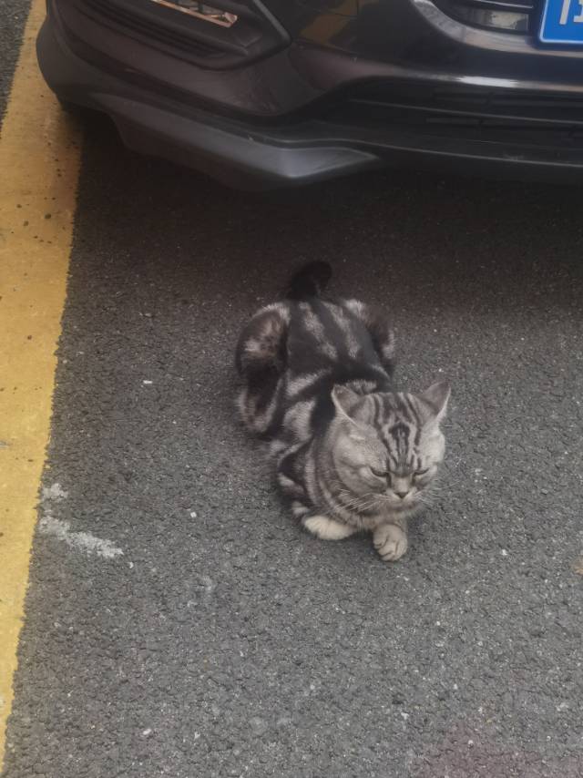 找跑步搭子