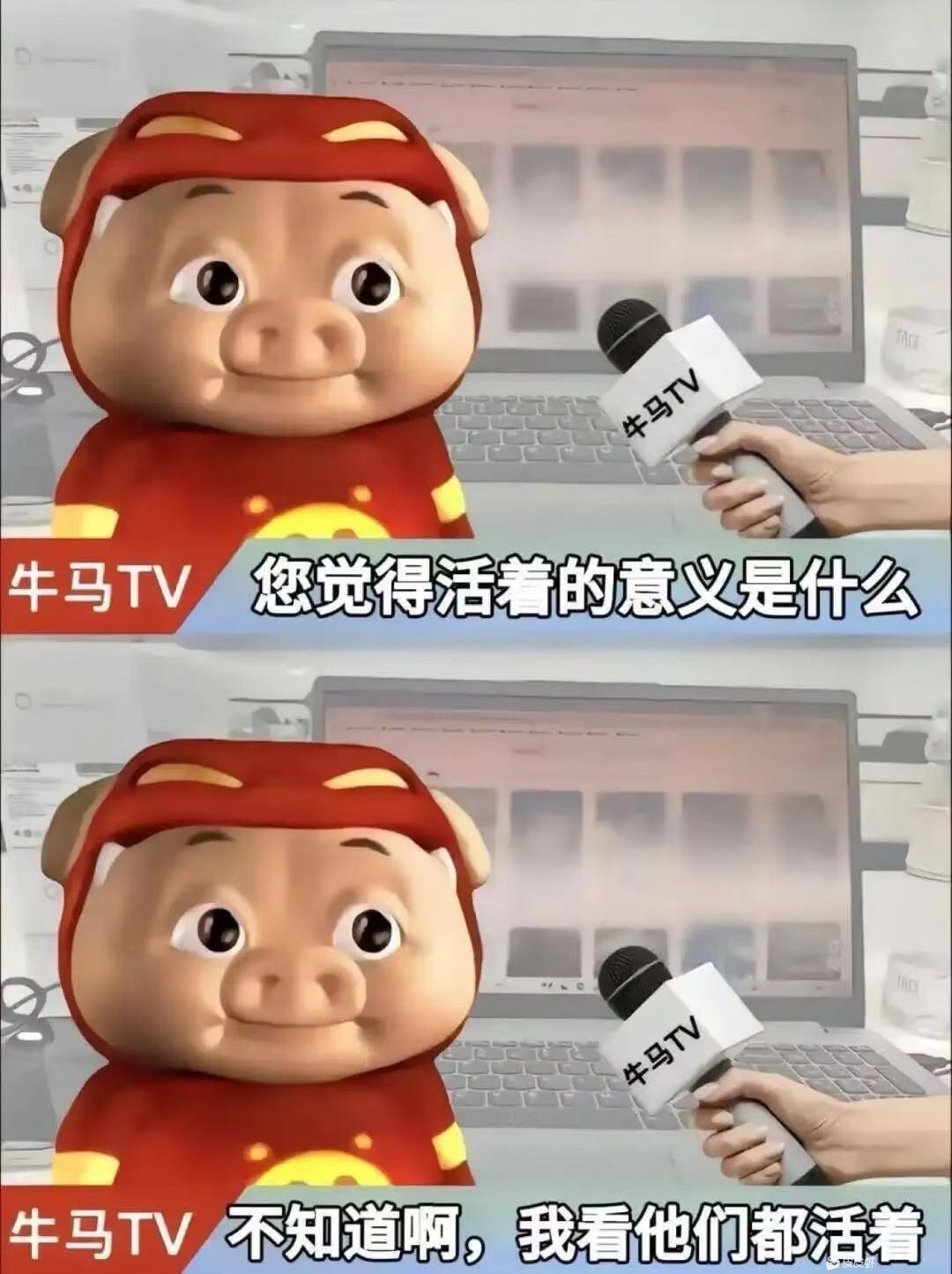 找聊天搭子