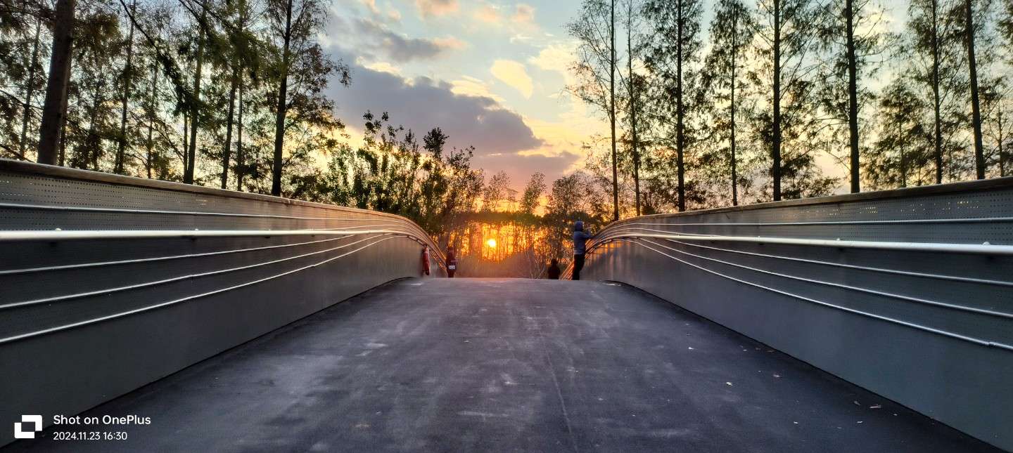 找旅游搭子