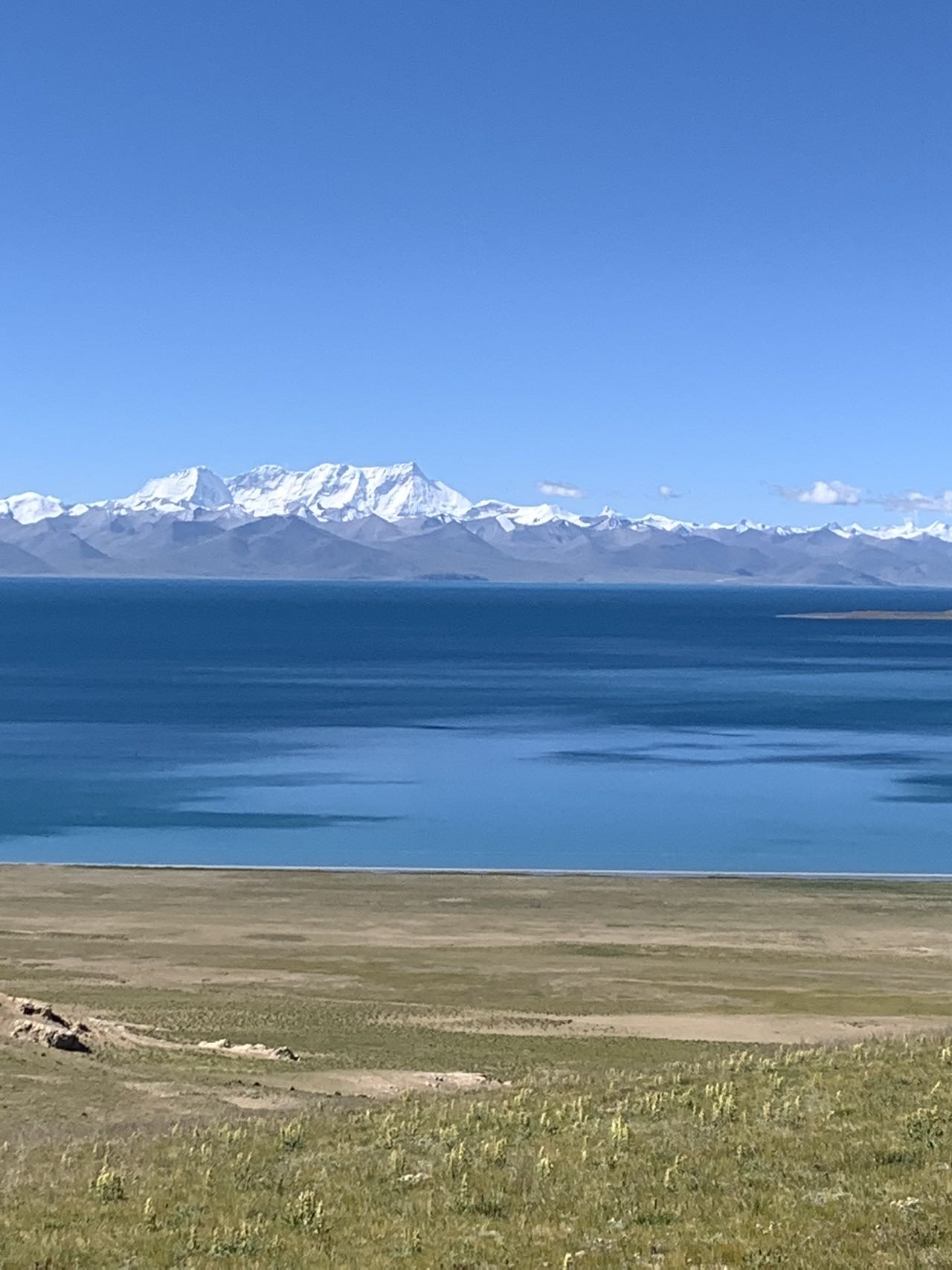 找旅游搭子