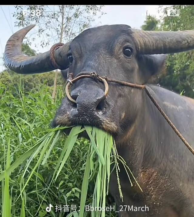 找运动聊天搭子