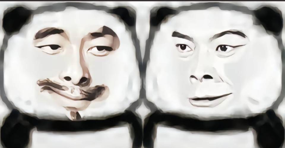 找学习搭子