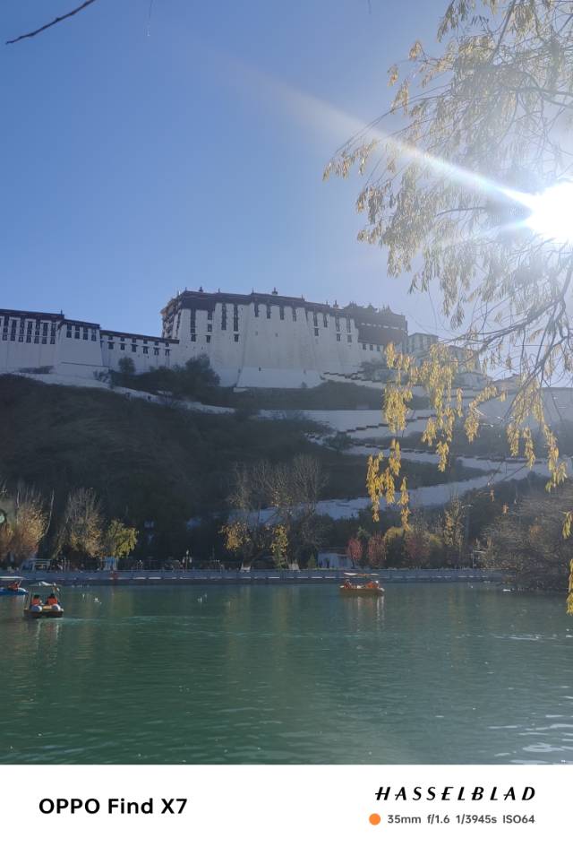 找蓝球搭子