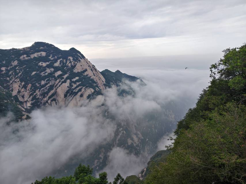 找旅游搭子