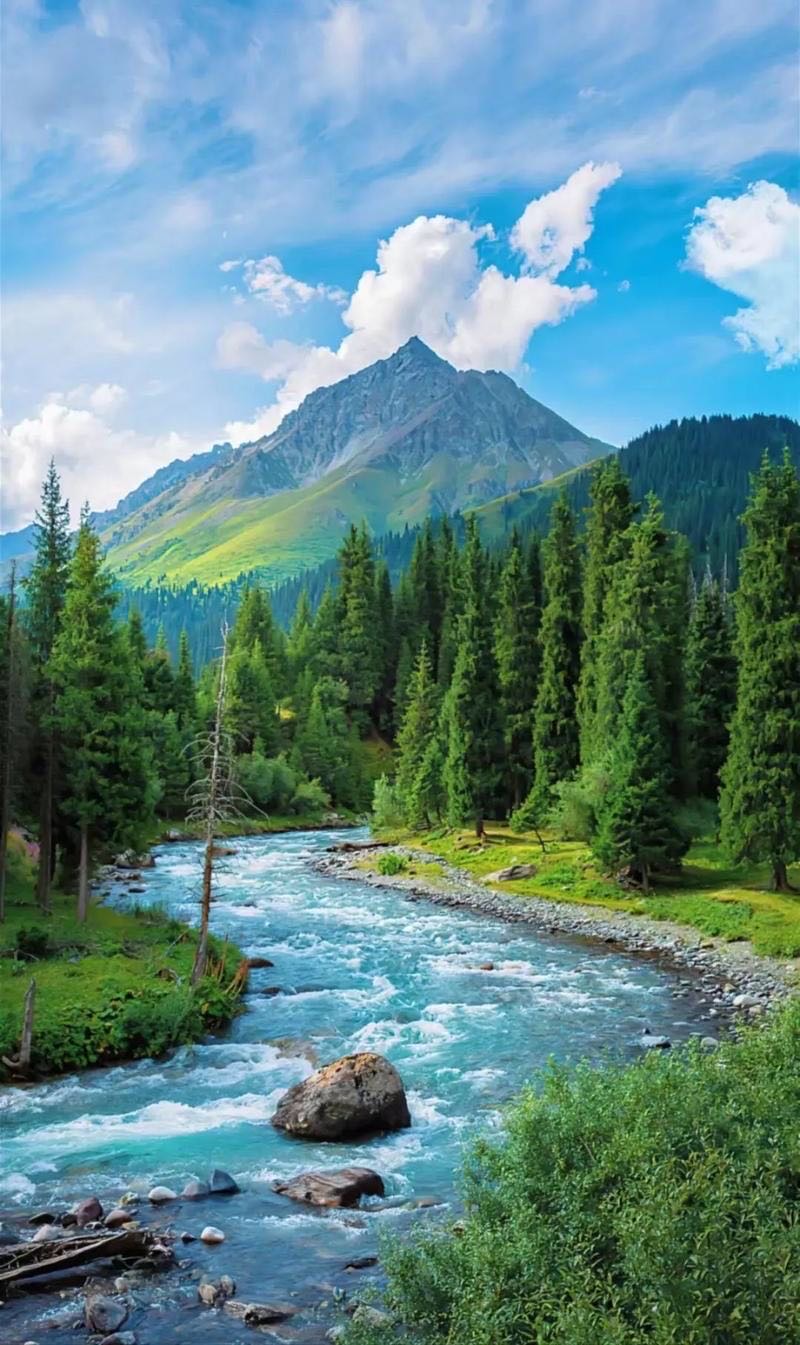 找旅游搭子