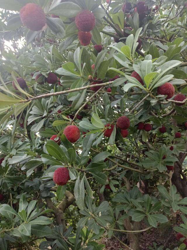 找运动搭子