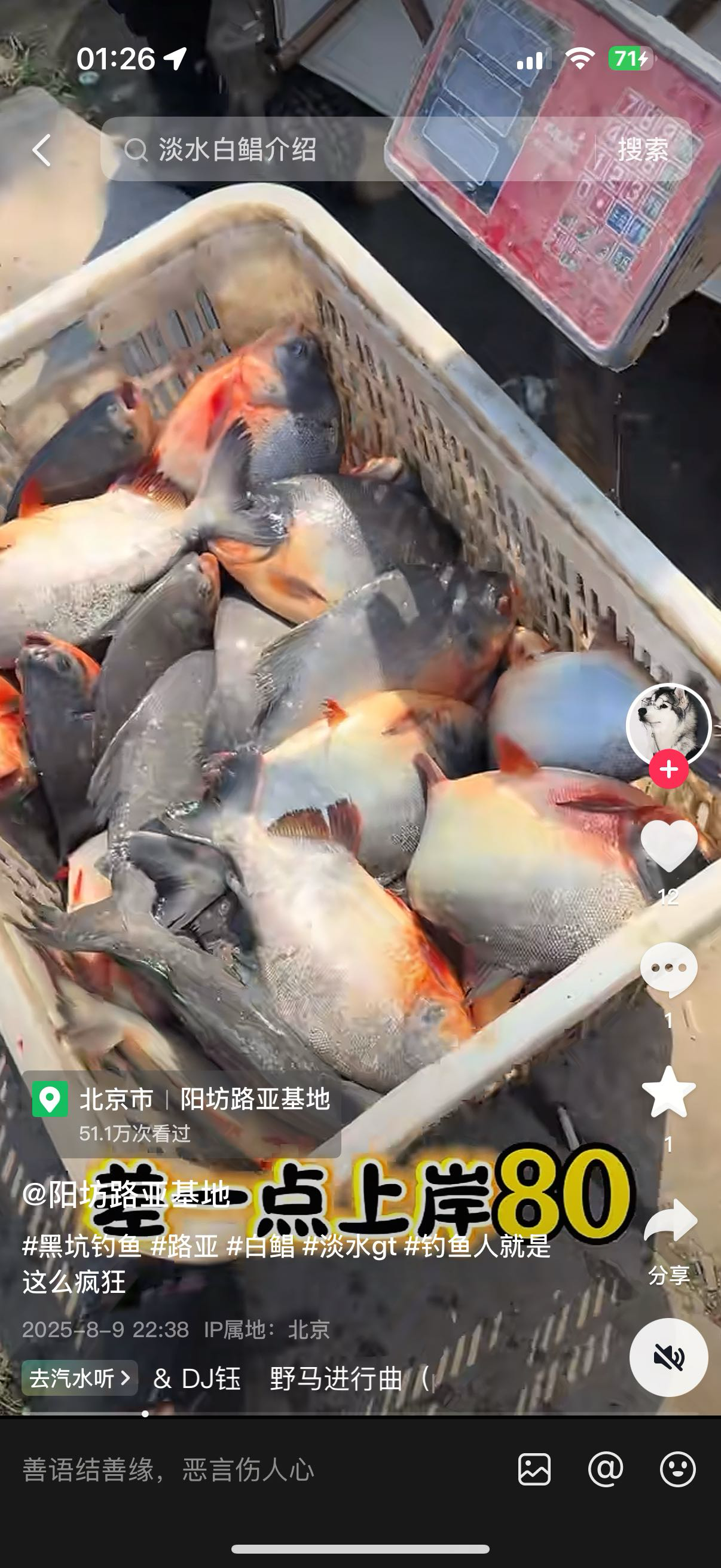 找钓鱼搭子