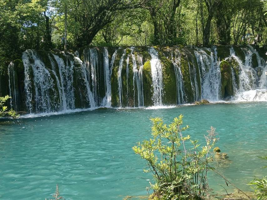 找旅行搭子