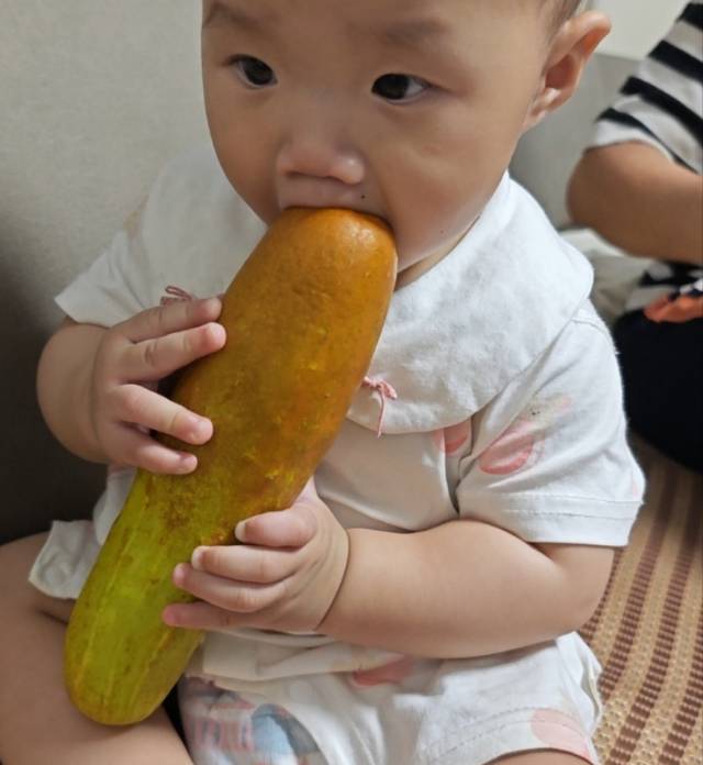 找饭搭子