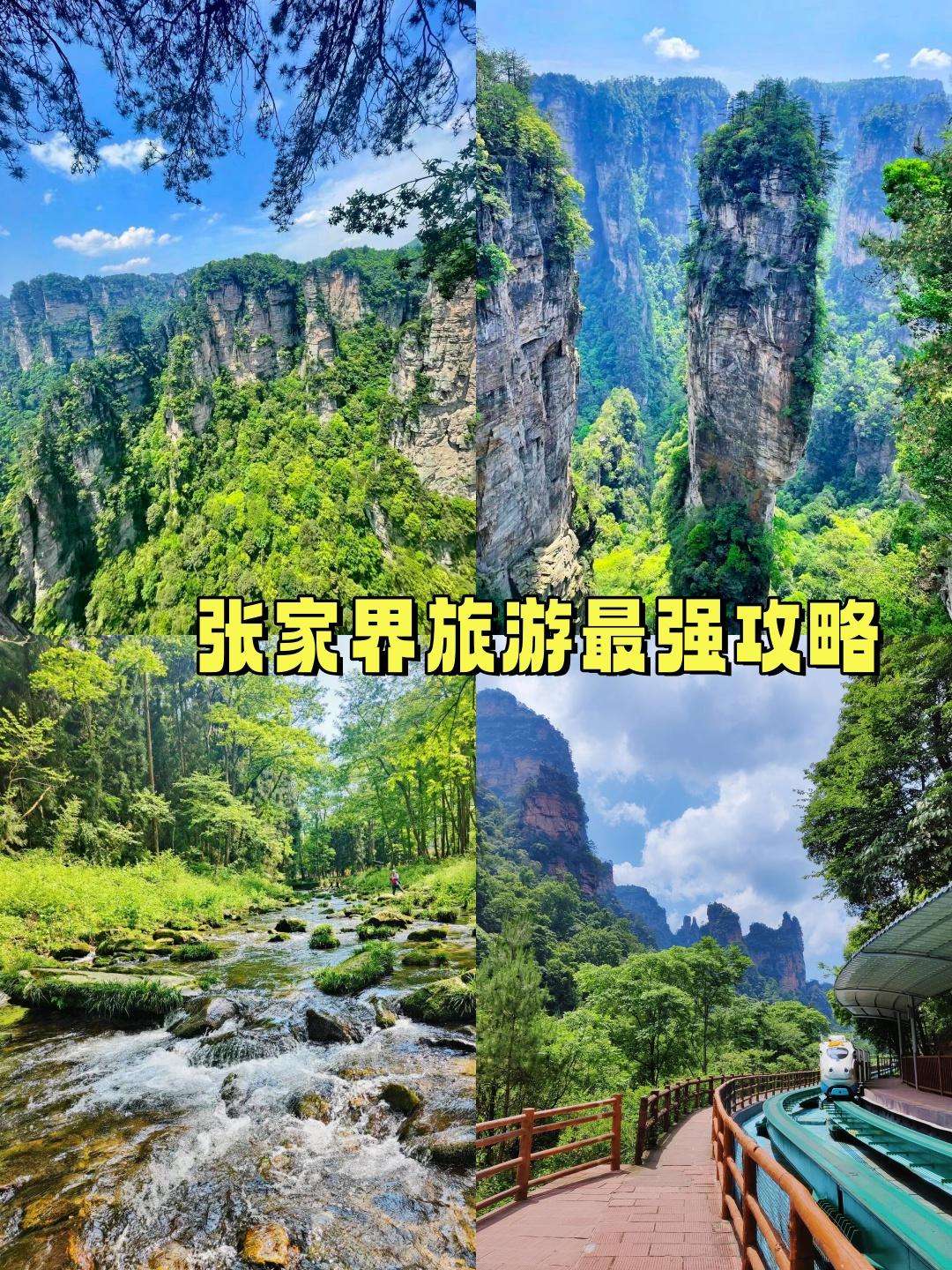 找旅游搭子