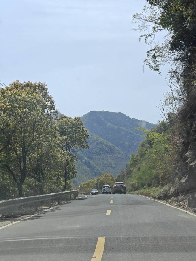 找旅游搭子