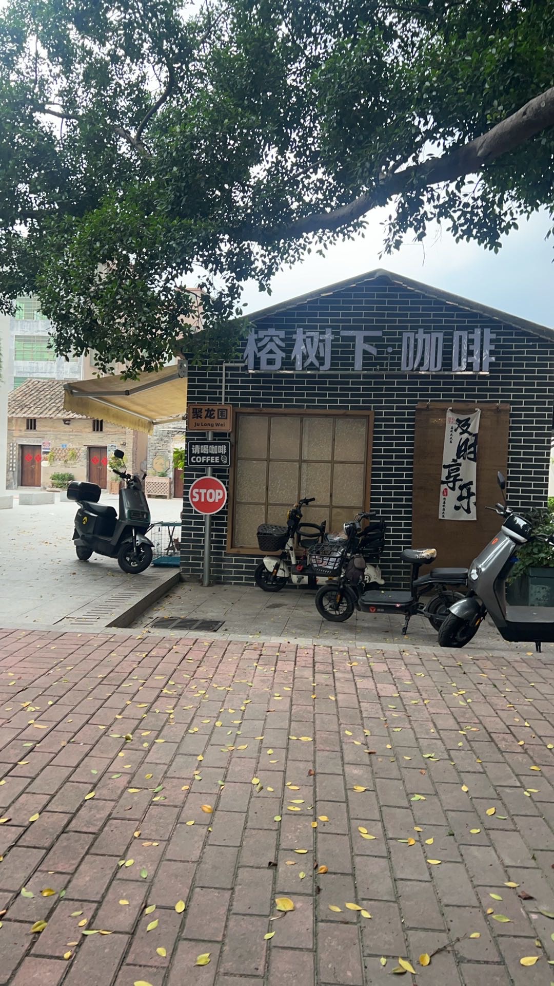 找电影搭子