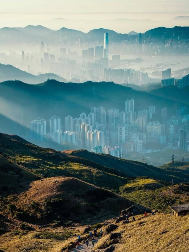 找知心搭子