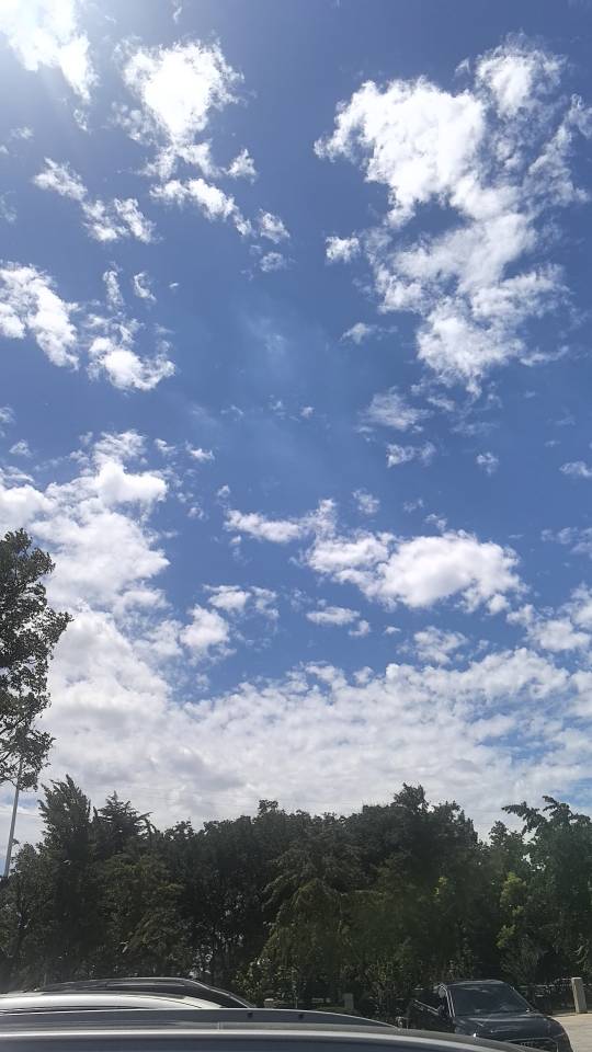 找旅游搭子
