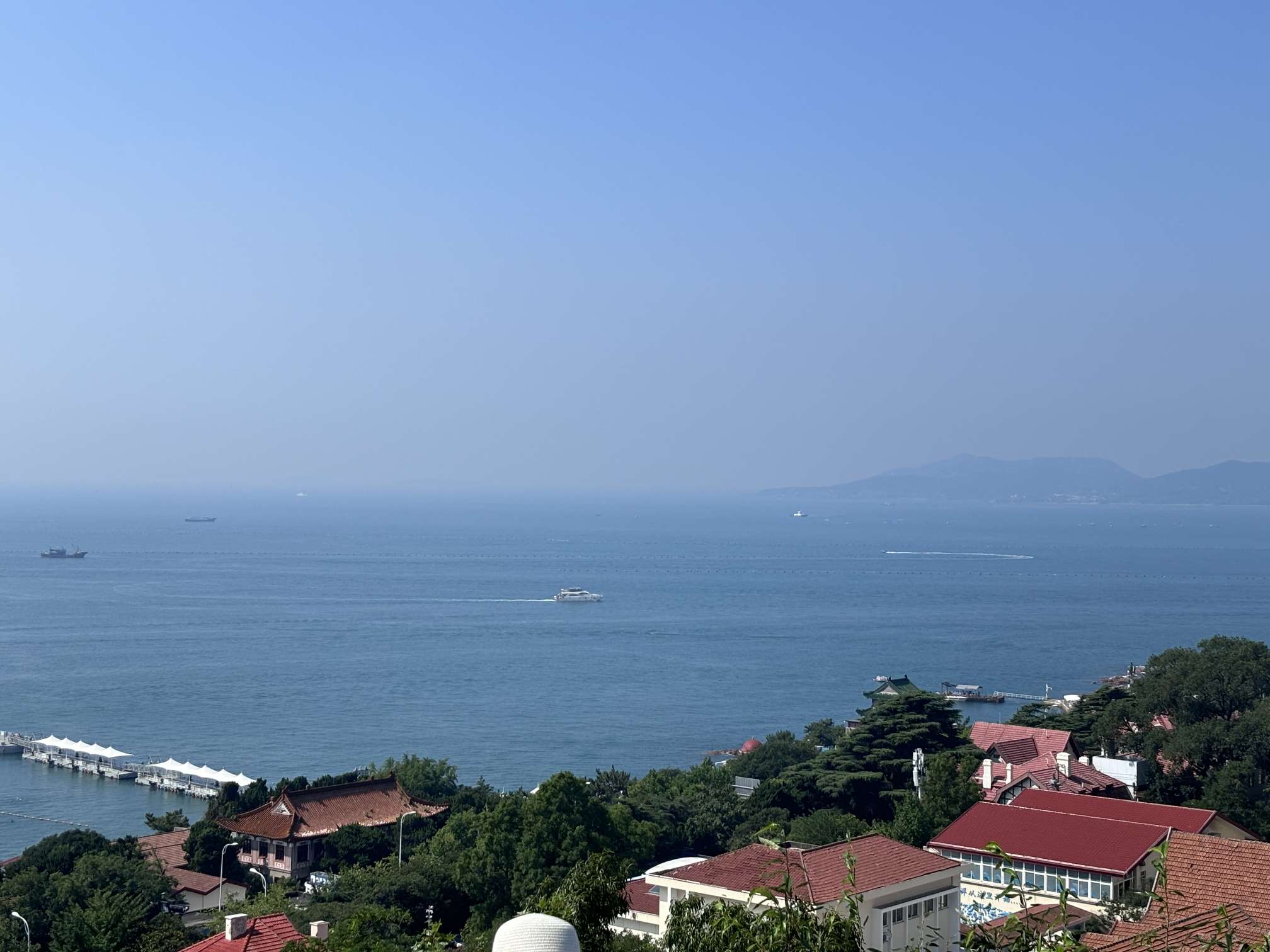 找麻将搭子