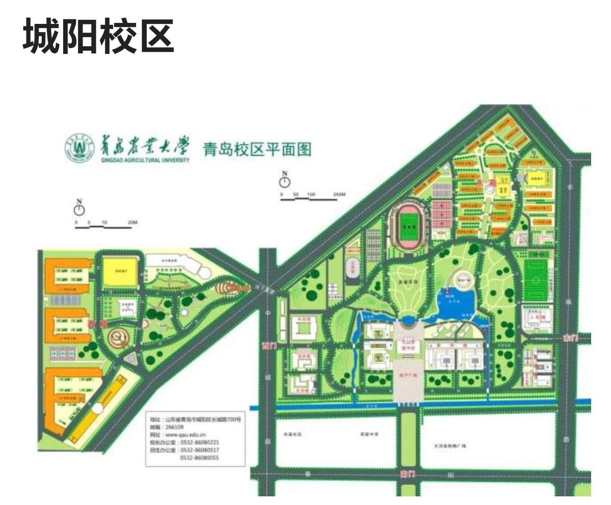 找青岛农业城阳搭子