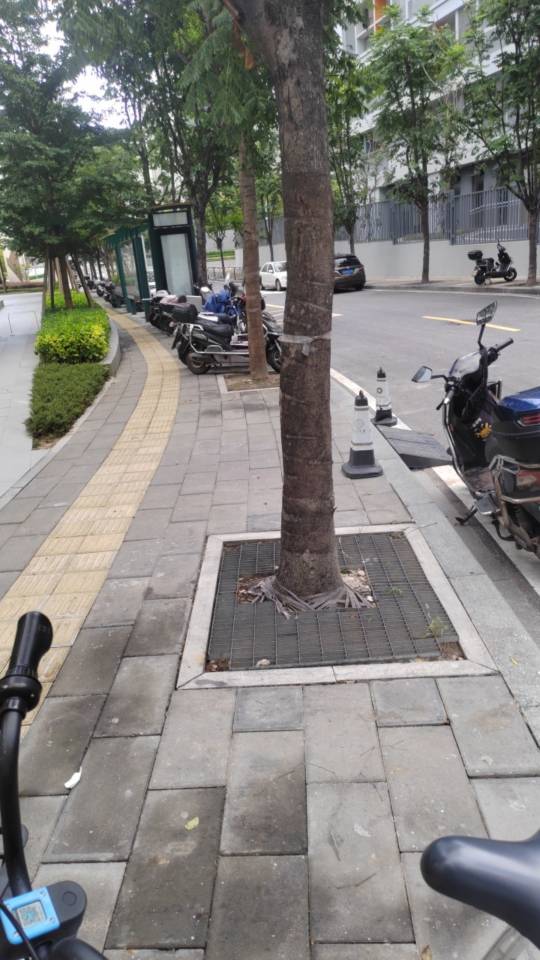 找运动搭子