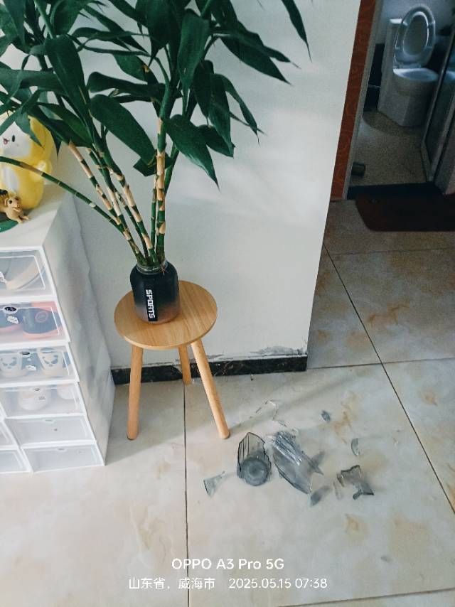 找快乐饭搭搭子