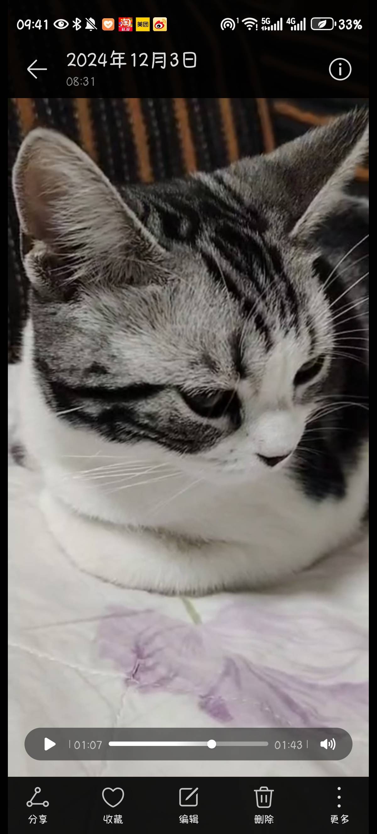 找玩搭子