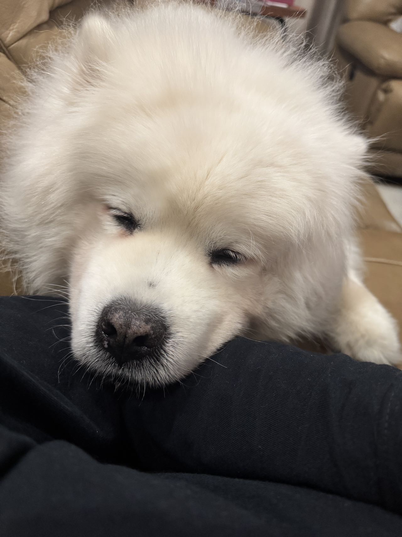 找摩托车搭子