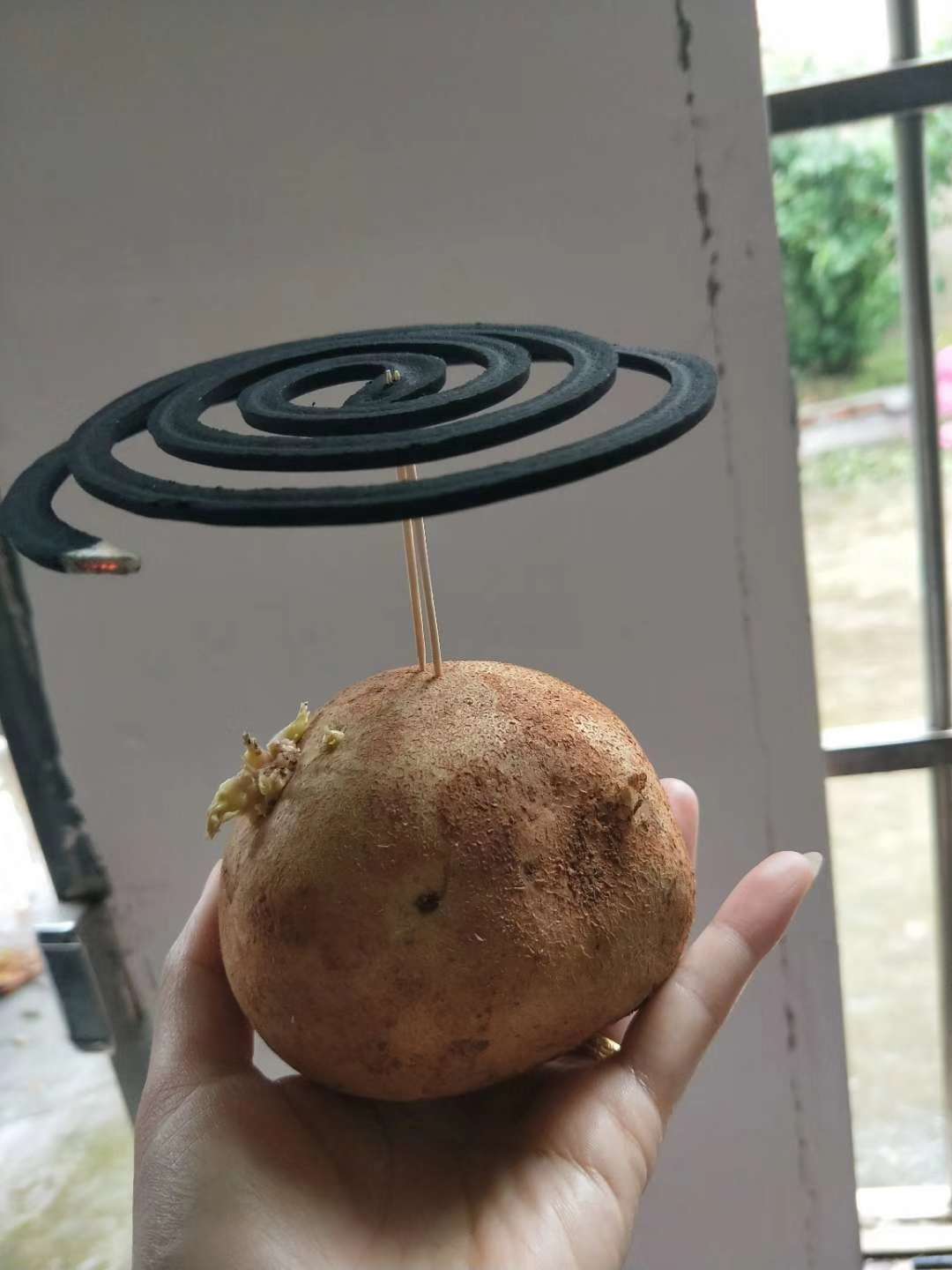 找学习搭子