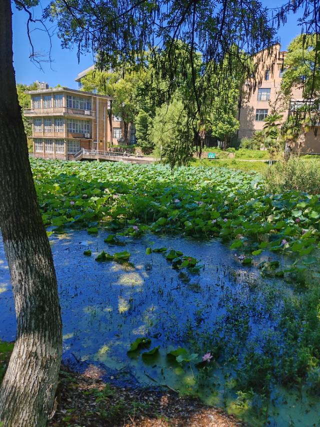 找旅行搭子