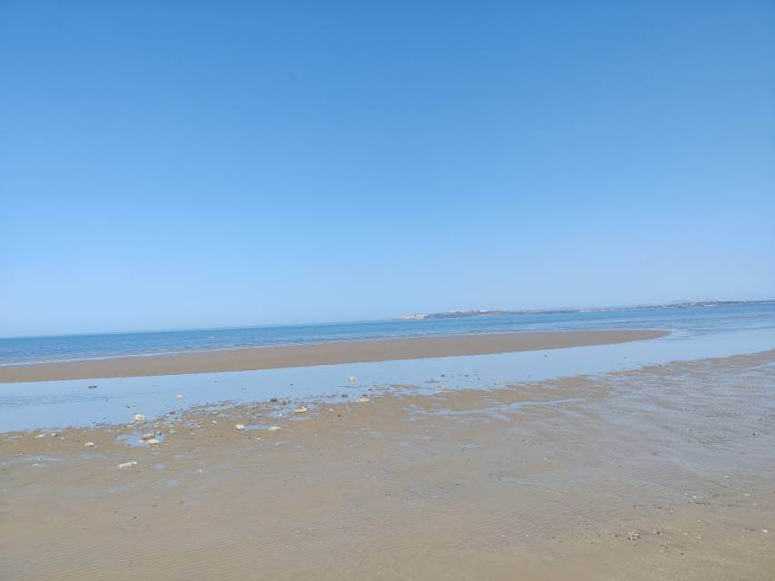找旅游搭子