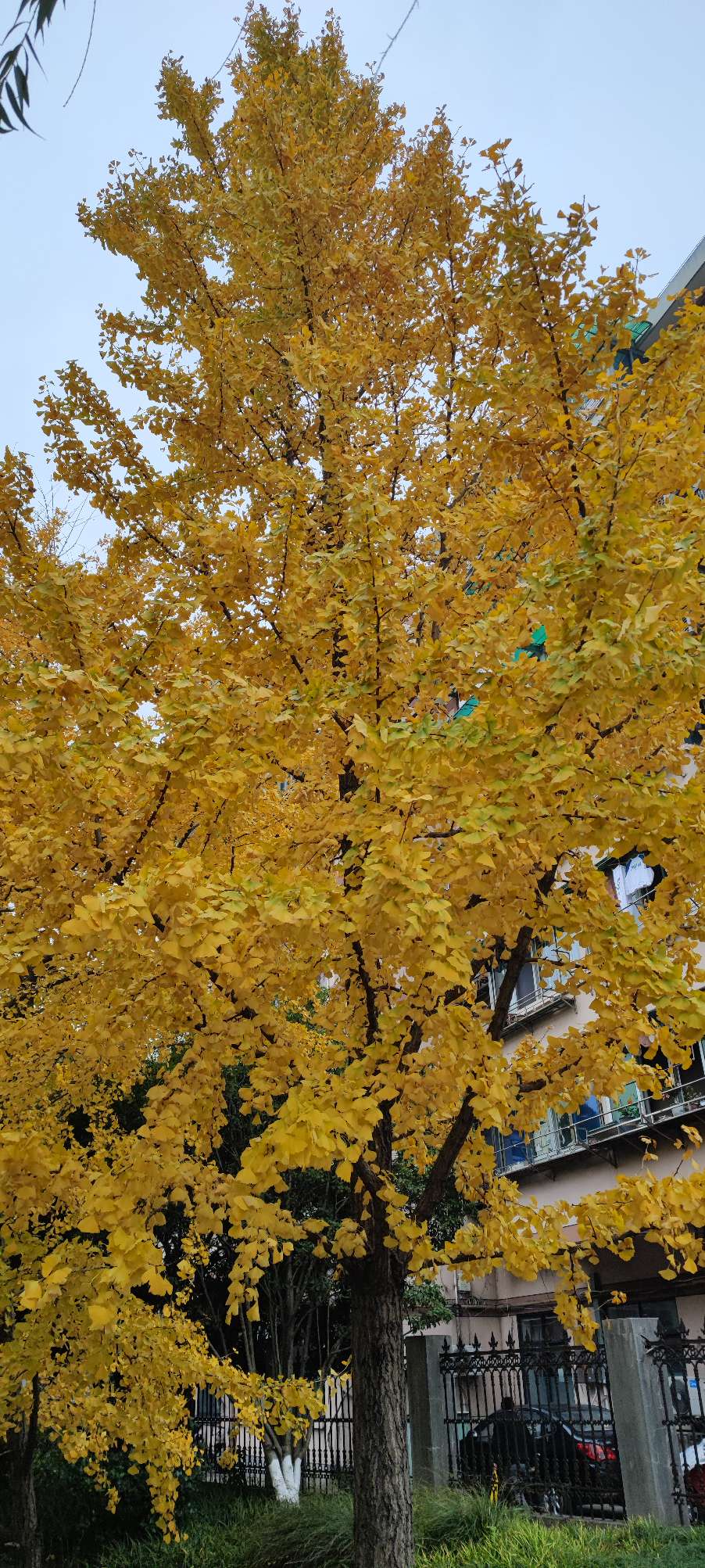 找旅游搭子