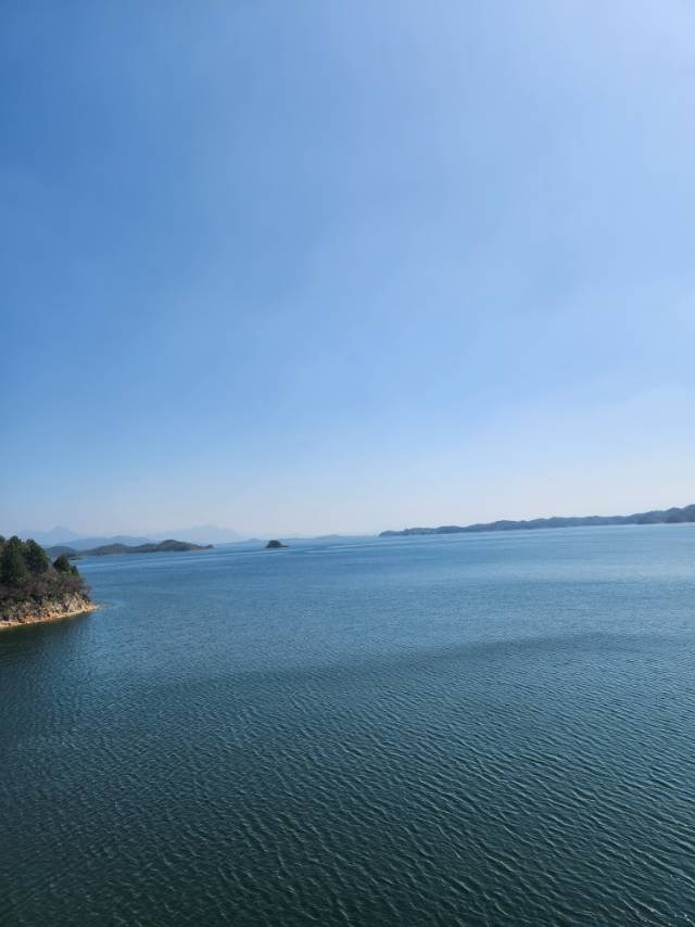 找旅游搭子