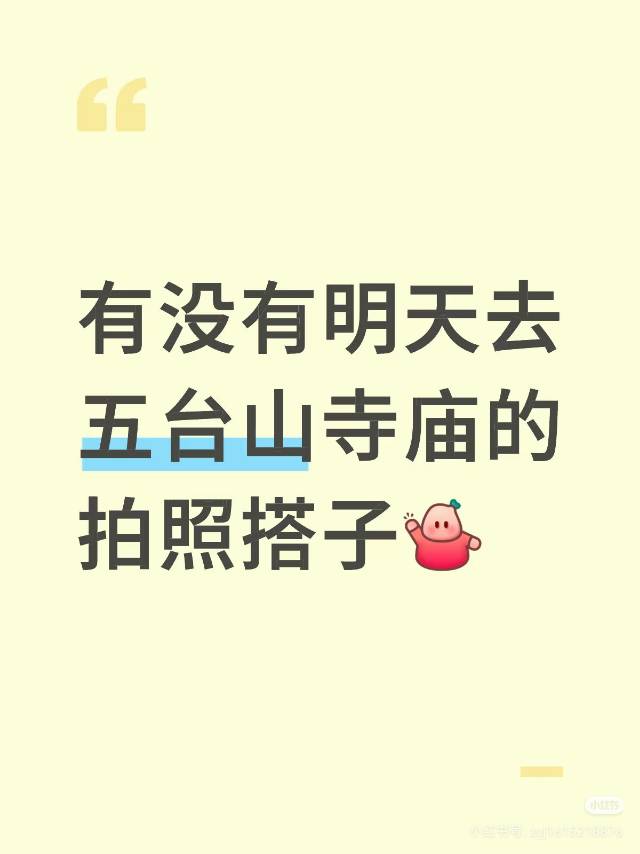 找旅游搭子