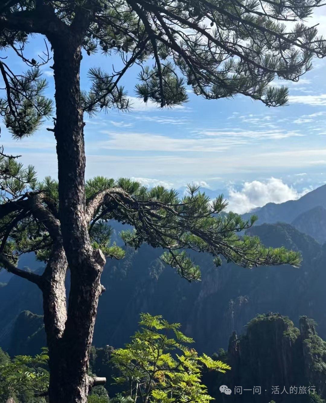 找运动搭子
