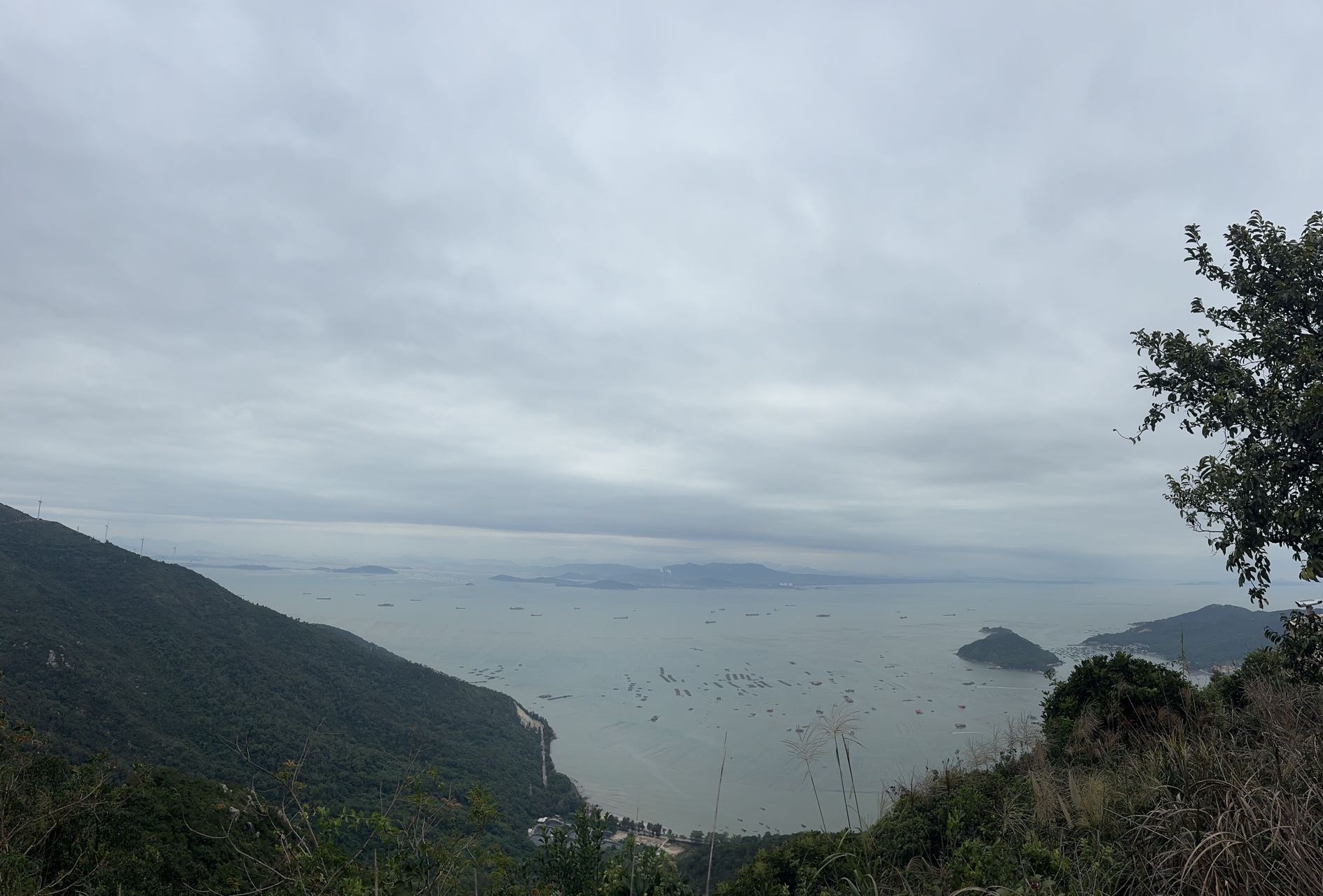 找旅游搭子