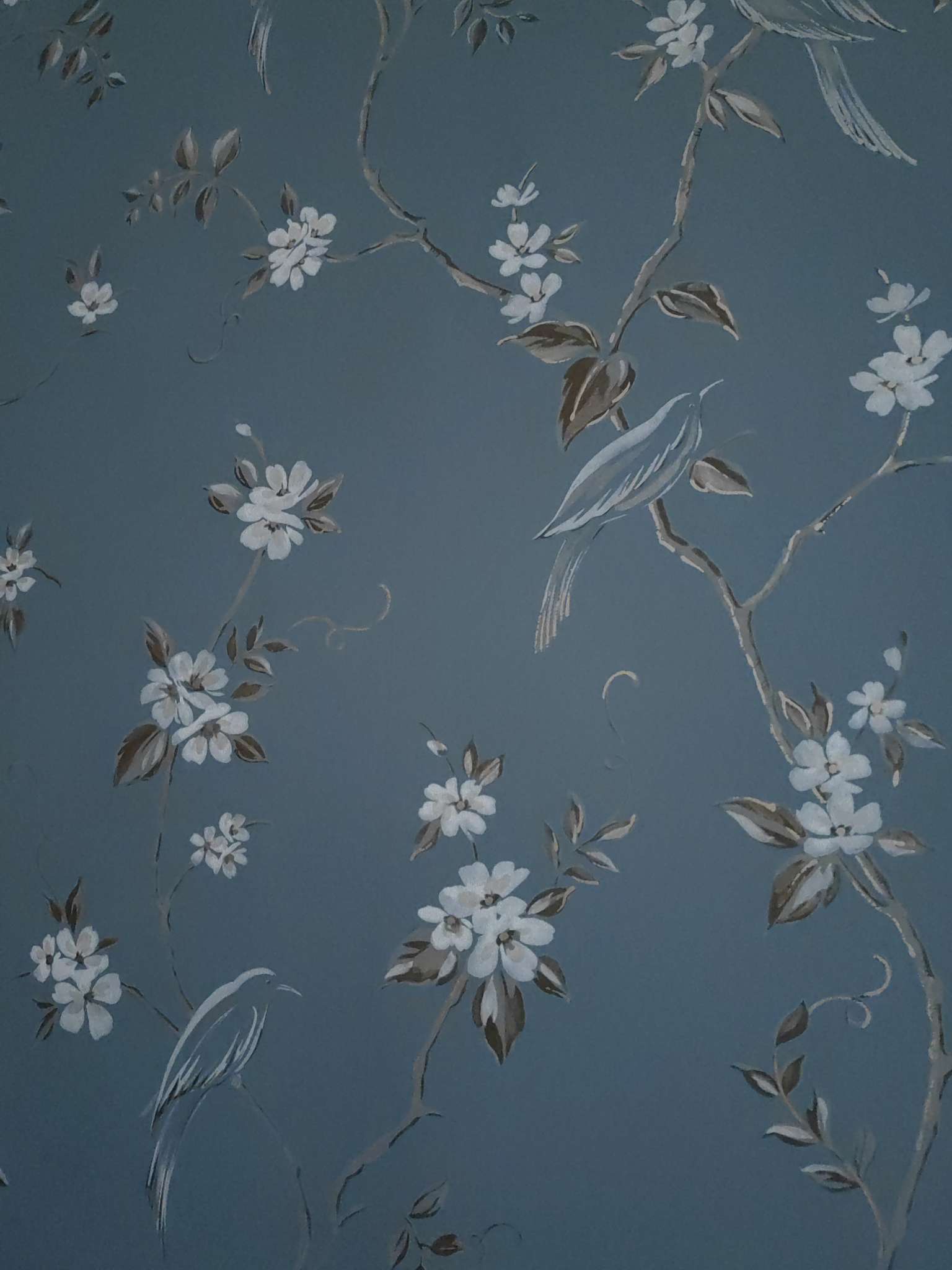找旅游搭子