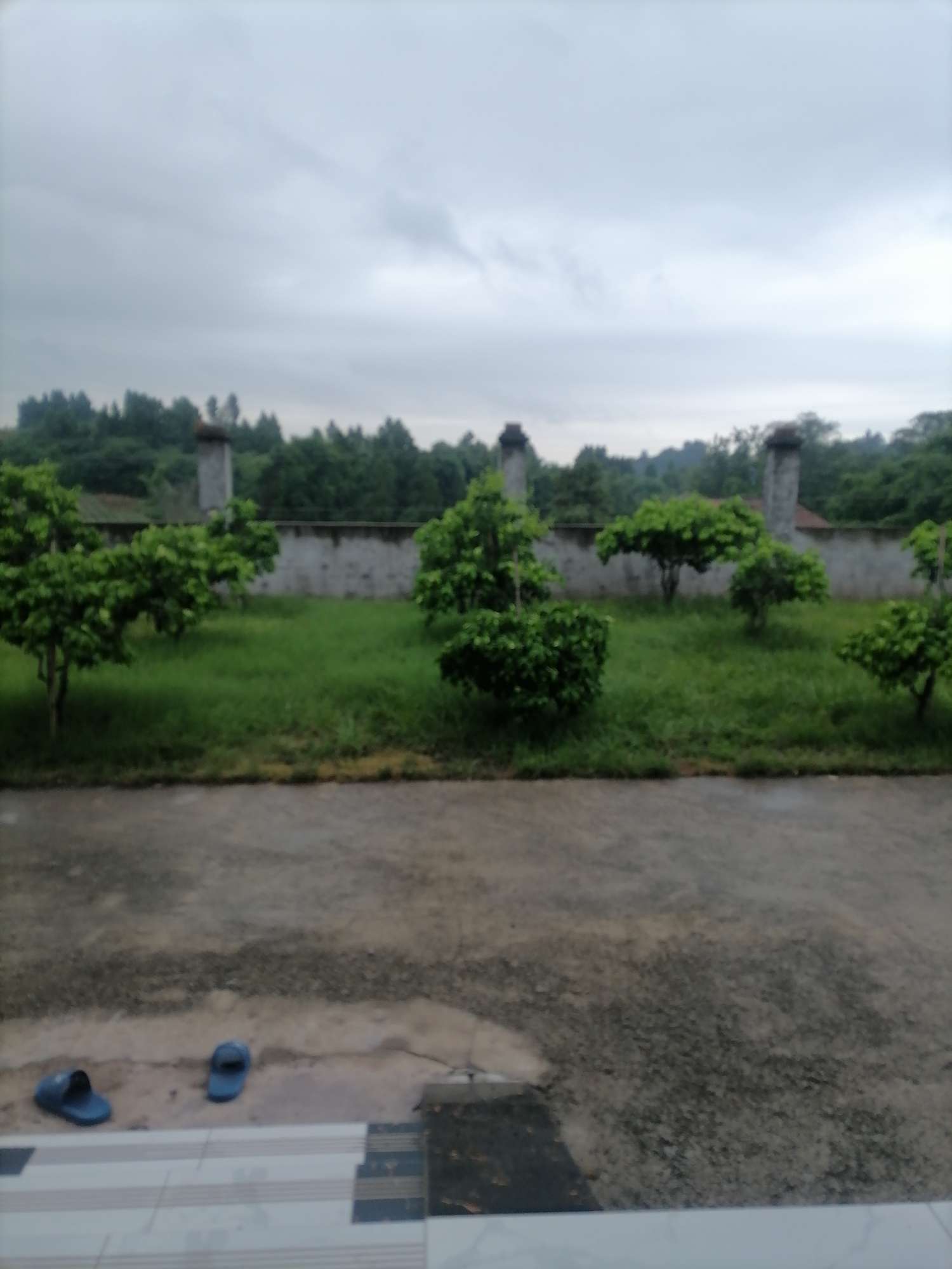 找旅游搭子