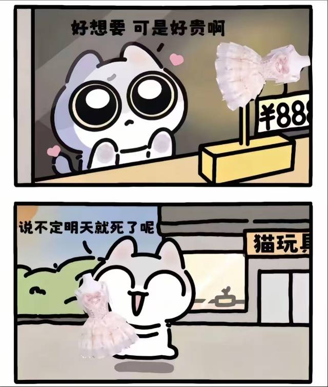 找采蘑菇搭子