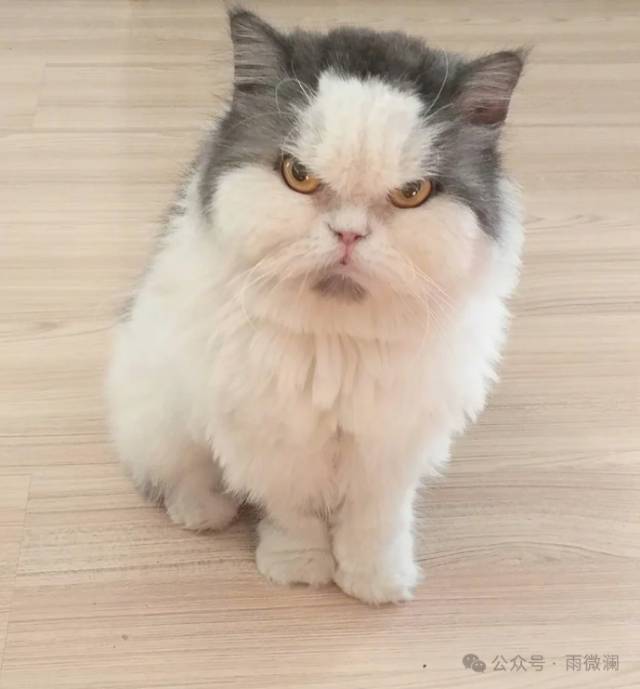 找旅游搭子
