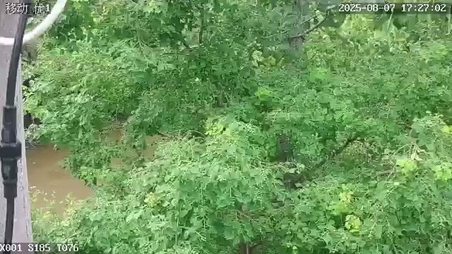 找运动搭子