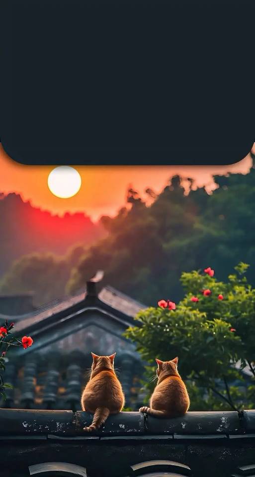 找运动搭子