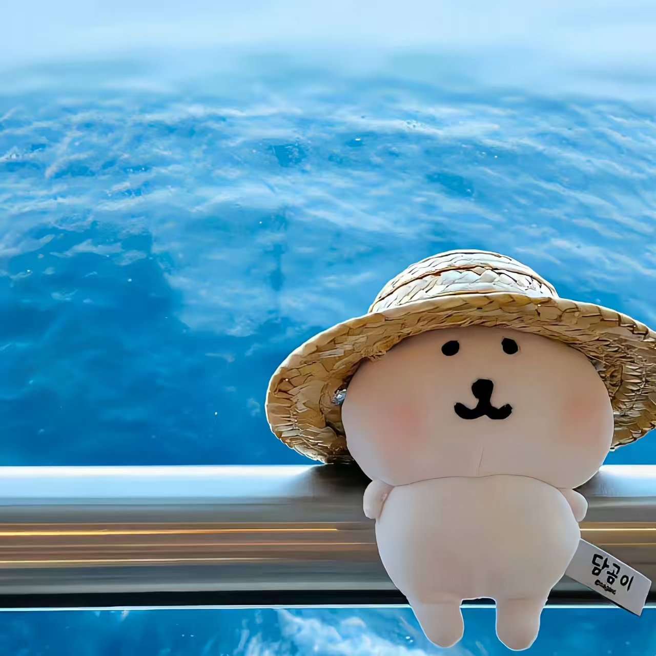 找运动搭子