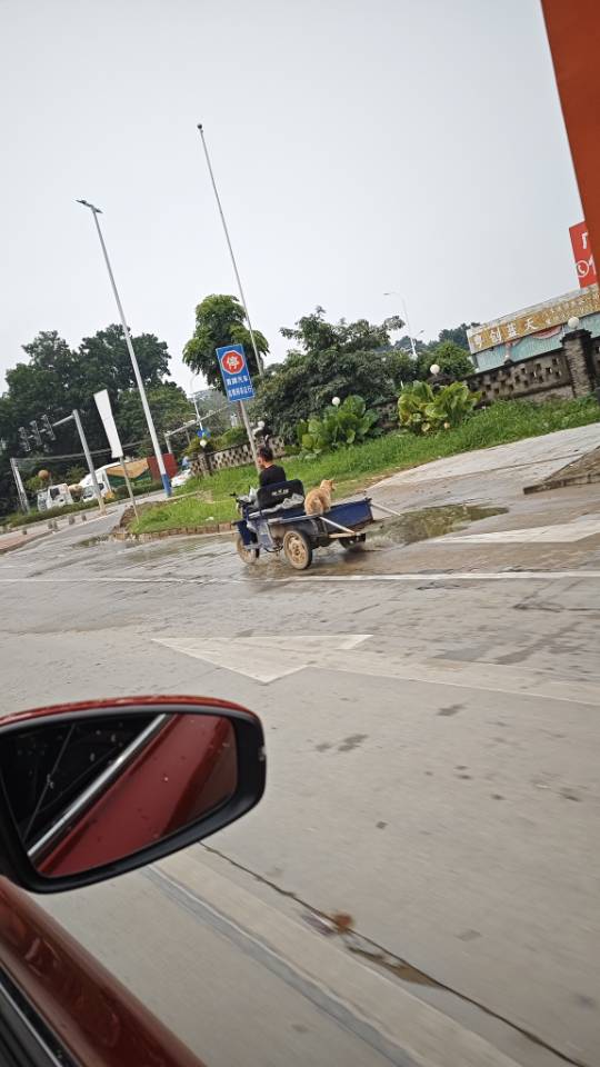 找打台球搭子