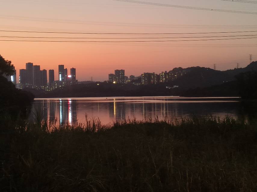 找散步搭子