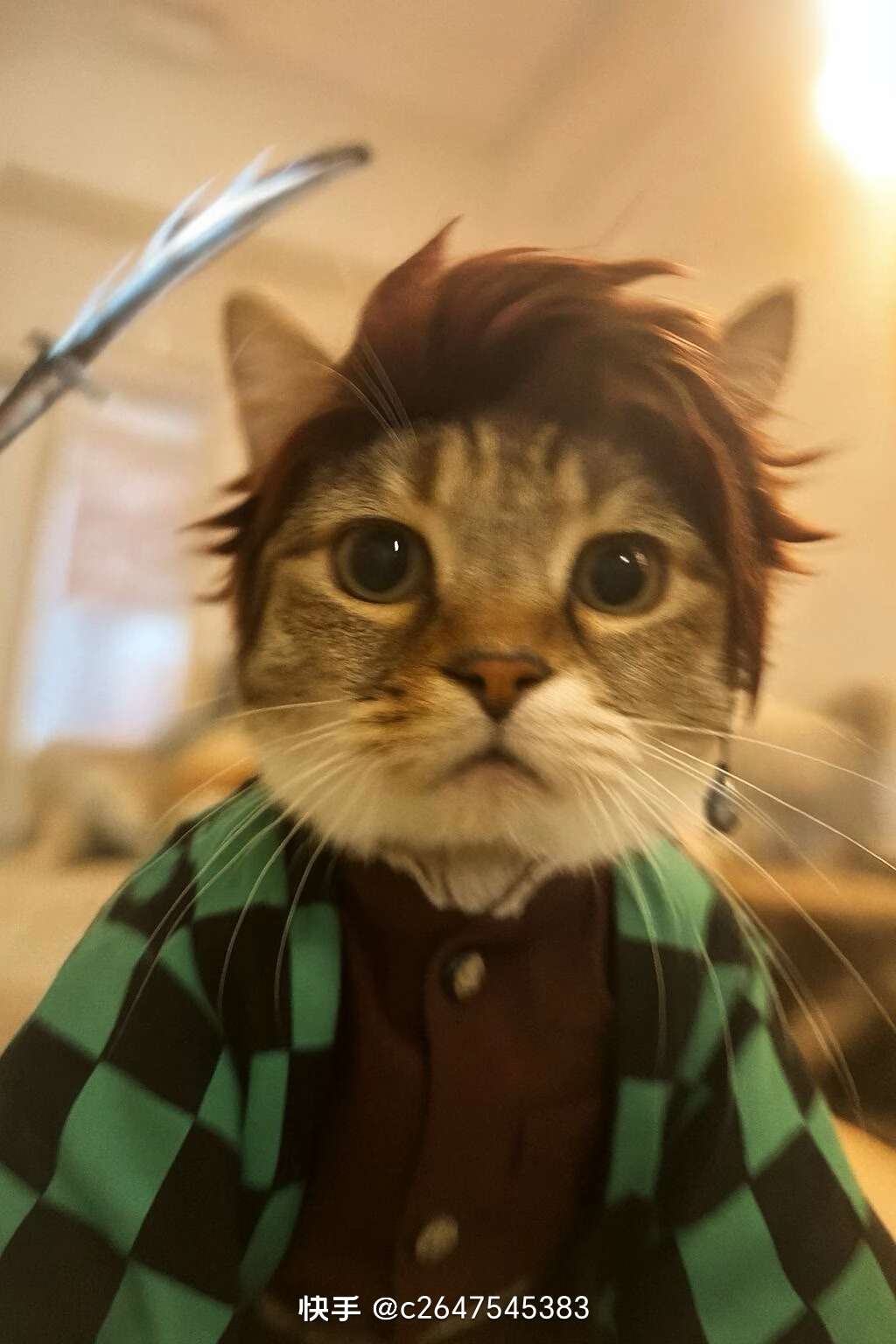 找游戏搭子