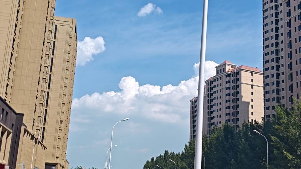 找散步搭子