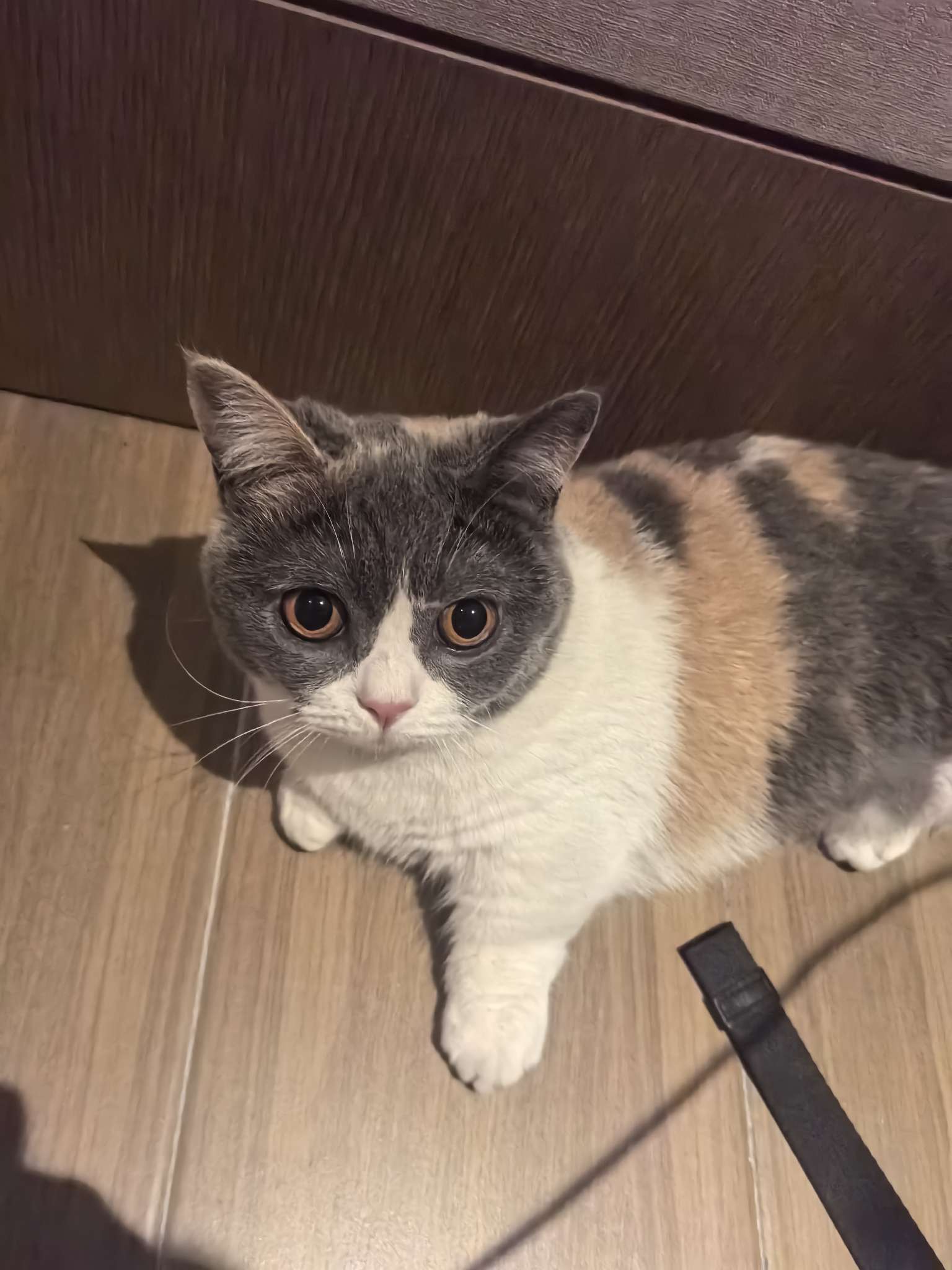 找运动搭子