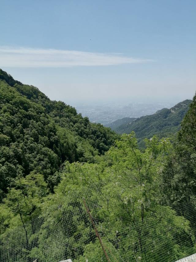找旅游搭子