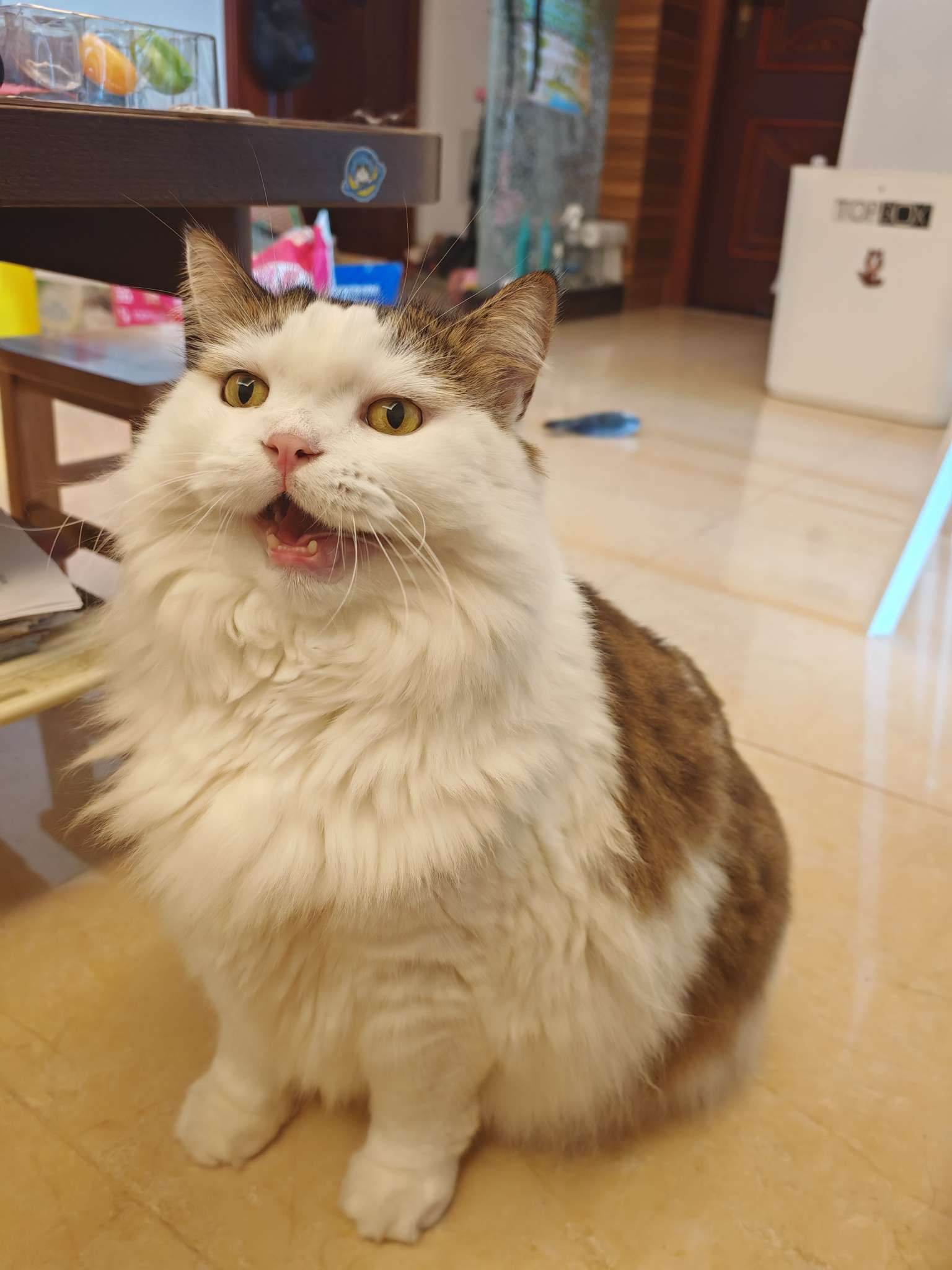 找瞎聊的搭子