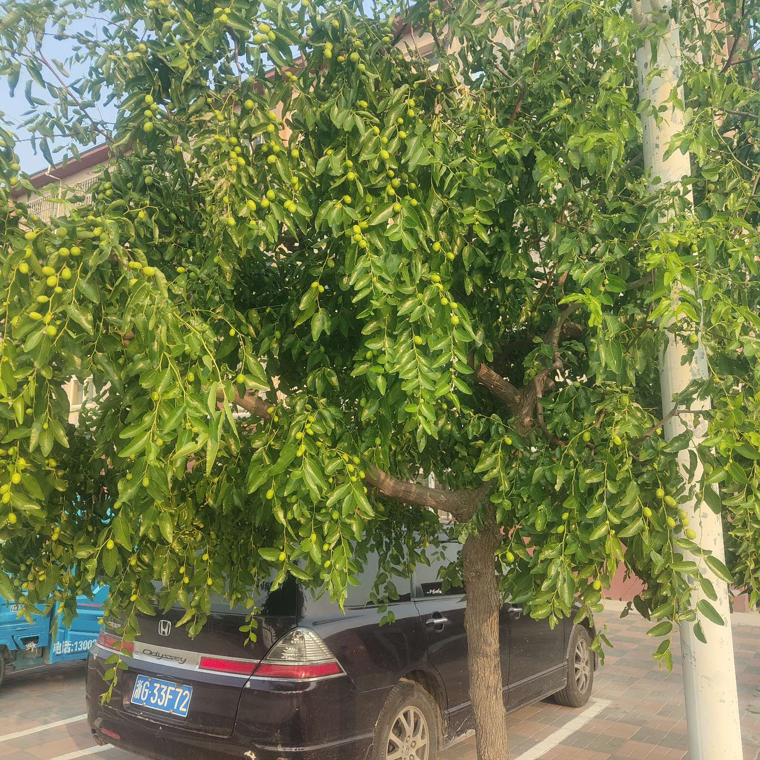 找美食搭子