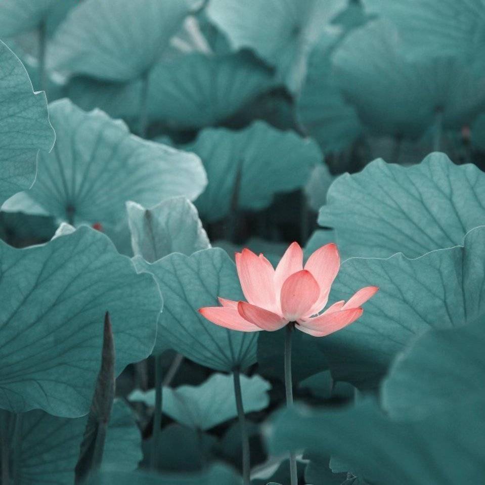 找运动搭子